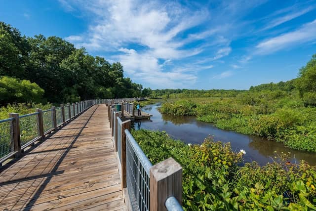 Tuckahoe Creek Park - Image 1