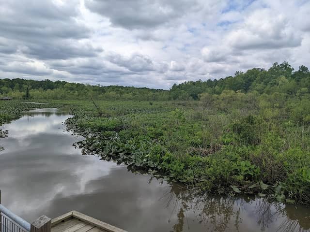 Tuckahoe Creek Park - Image 2