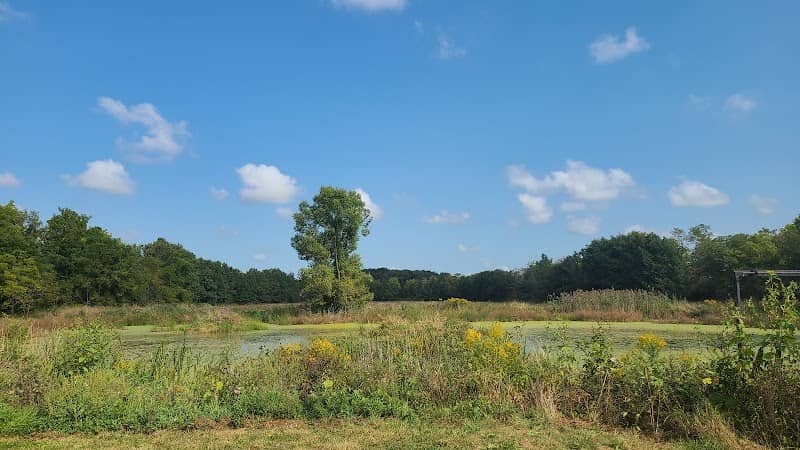 Jack Miner Migratory Bird Sanctuary - Image 3