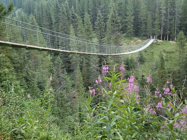 Blackshale Creek Suspension Bridge - Image 1