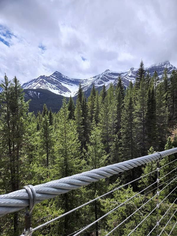 Blackshale Creek Suspension Bridge - Image 3