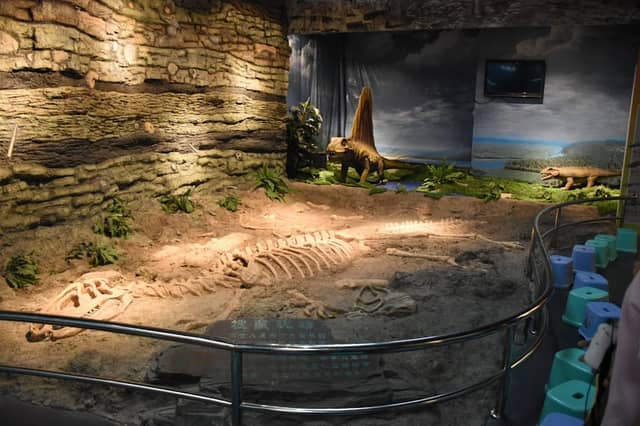 Senhui Museum - Image 1