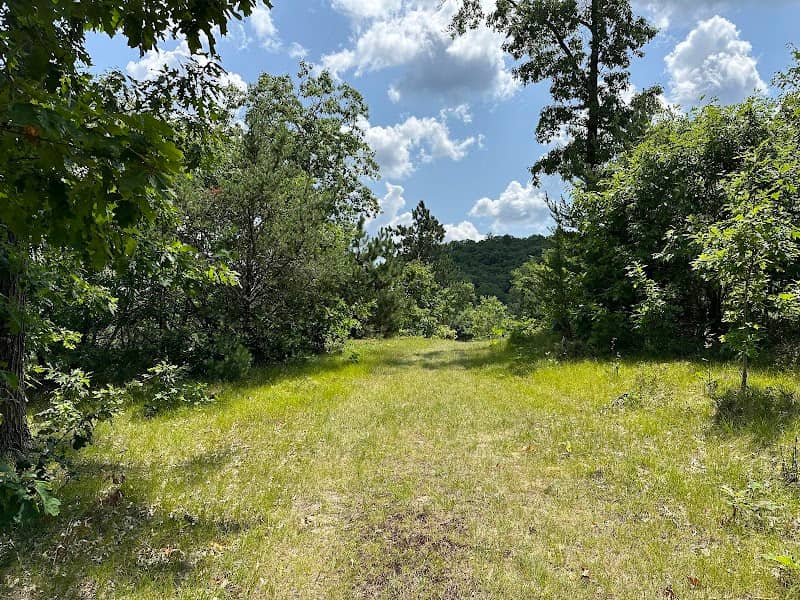 Red Oak, Norway Pine, Wildcat Loop Trailhead - Image 1