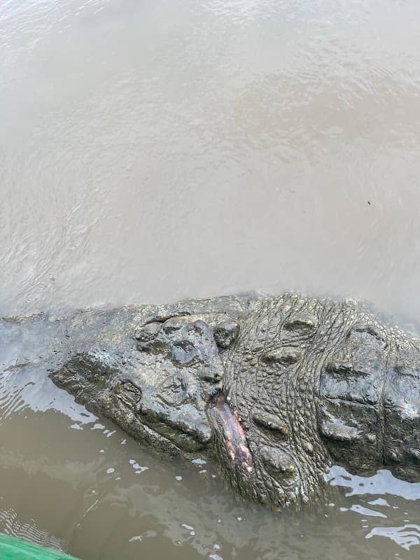 Jungle Crocodile Safari Private Dock - Image 3