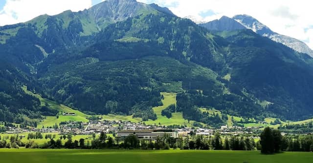 Waldstück - Image 1