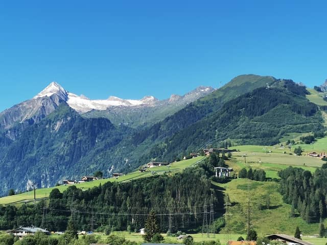 Waldstück - Image 2