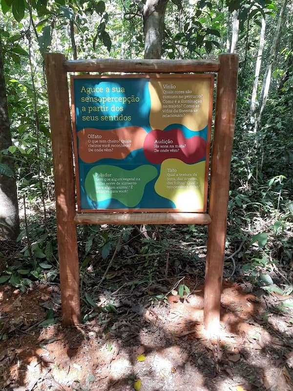 Trilha de Águas Claras - Placa 3: Sensopercepção - Image 1