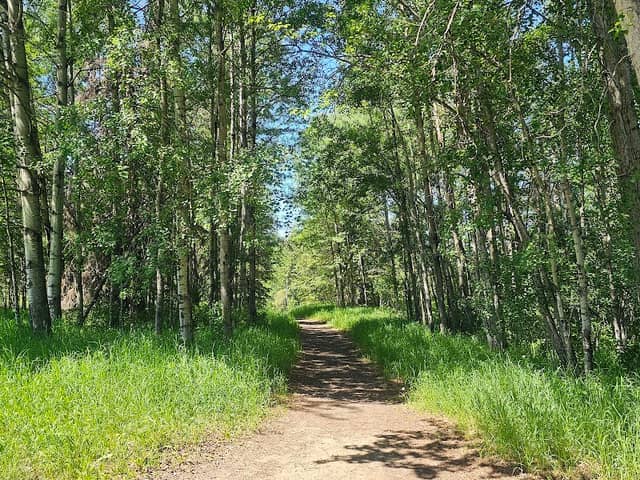Riverside Park - Image 1