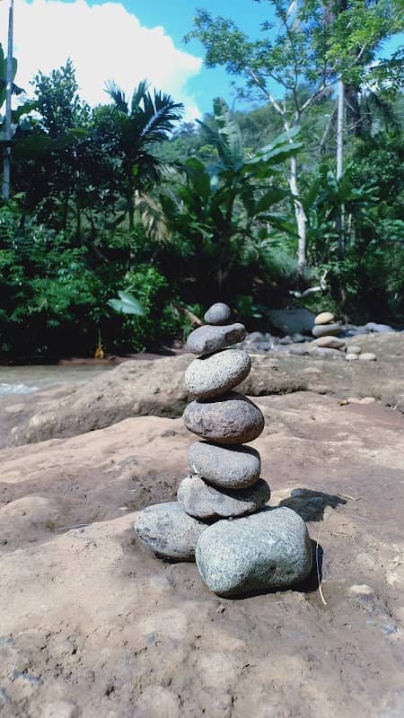 situ - Image 2