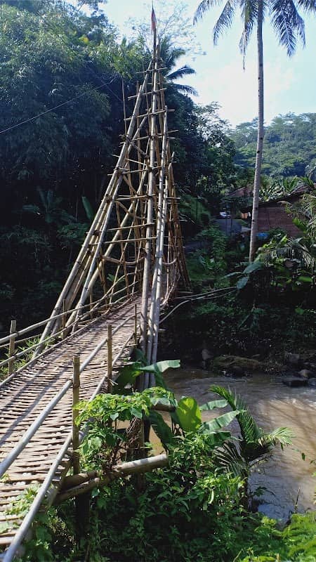 situ - Image 1