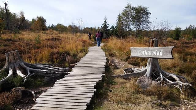 Lotharpfad - Image 3