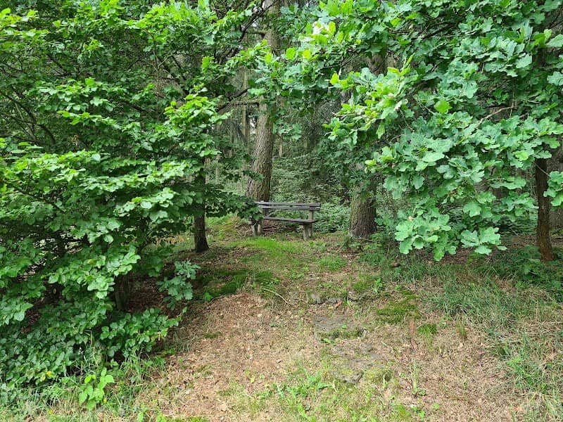 Schutzhütte Flügelweg - Image 2