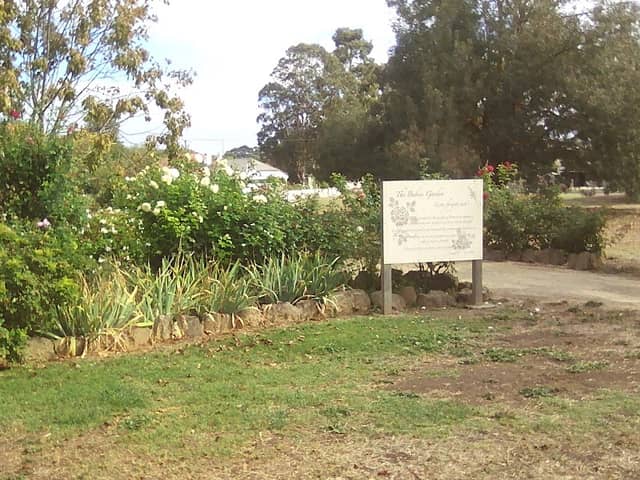 The babies garden - Image 1