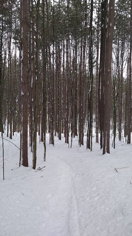 Branstrom Park - Image 1