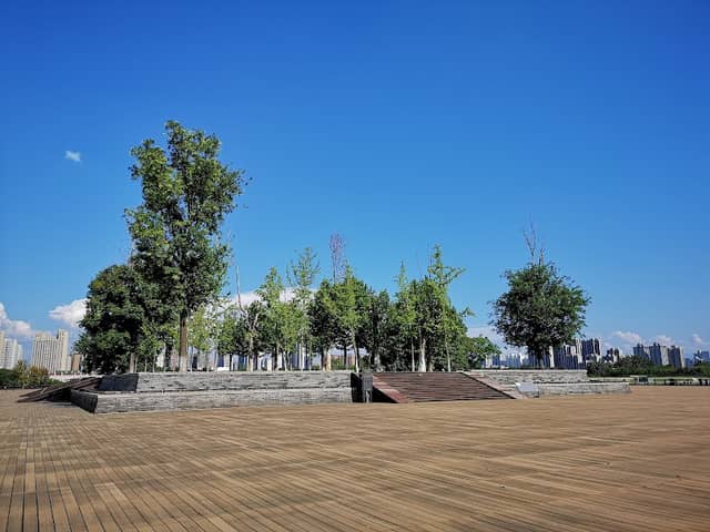 Daming Palace National Heritage Park - Image 3