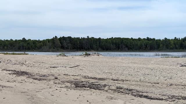 Maple Bay Natural Area - Image 2