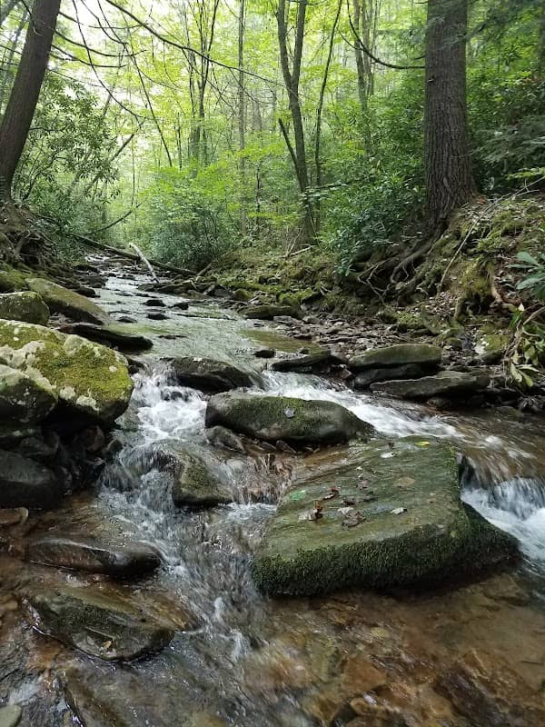 Upper Pine Bottom State Park - Image 2