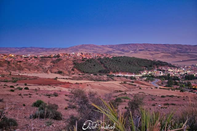 غابة القلعة - Image 1