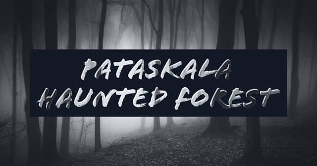 Pataskala Haunted Forest - Image 2