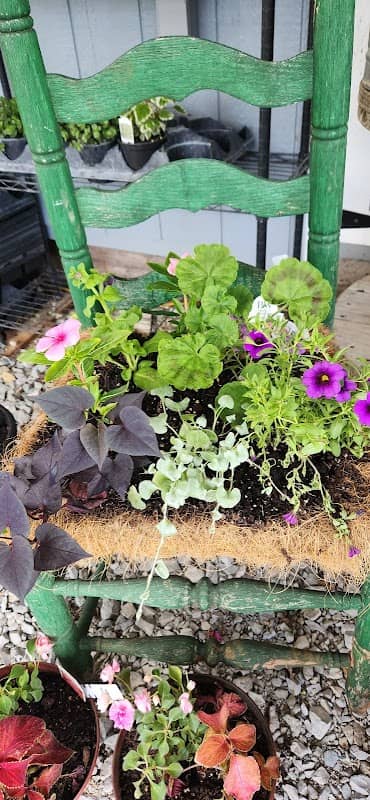 Farmers market and county store - Image 1