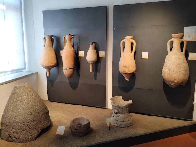 Museo Civico Archeologico e di Scienze Naturali "Federico Eusebio" - Image 1