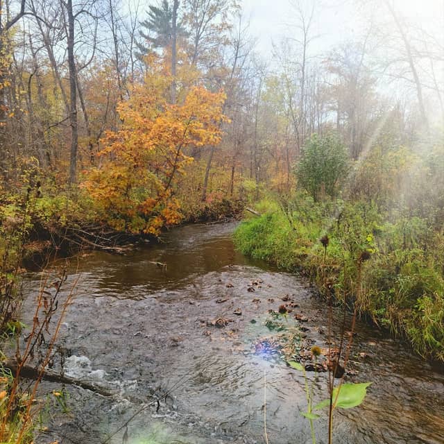 Fritz Loven Park - Image 2