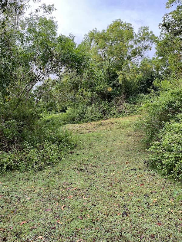 Waka Campsite - Image 1