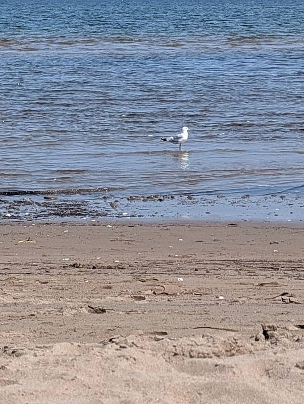 Plage Bouctouche - Image 3