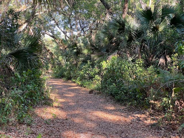 Sweetwater Hammock Preserve - Image 1