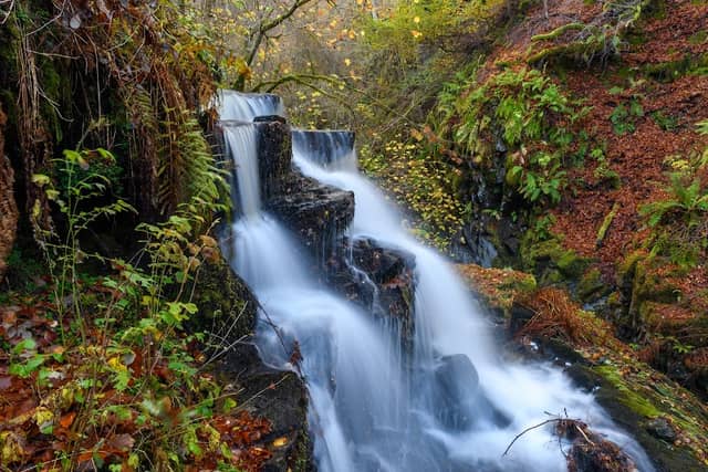 The Birks Of Aberfeldy - Image 2
