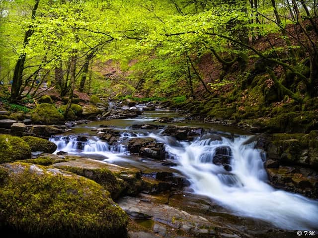 The Birks Of Aberfeldy - Image 3