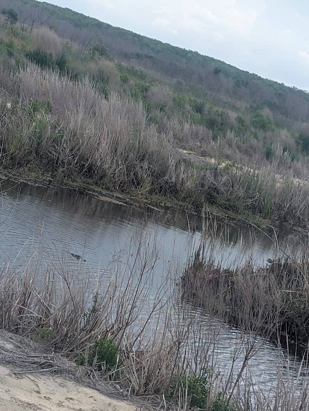 Tupelo Trail - Image 1