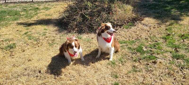 Stewart Dog Park - Image 1