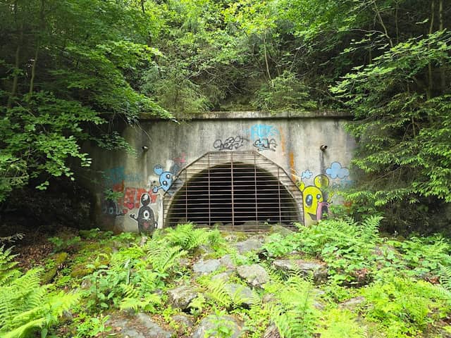 Winterberger Tunnel II - Image 2