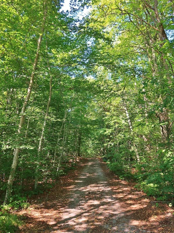 Skulpturskogen Ed - Image 1