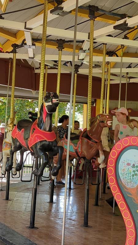 Riverside Park Carousel - Image 2
