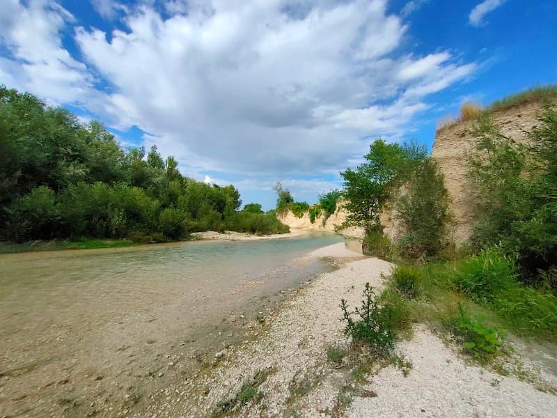 Foresta Fossile - Image 1