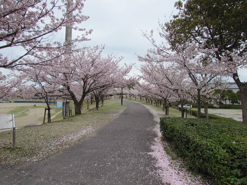 Kusu Center Green Park - Image 1