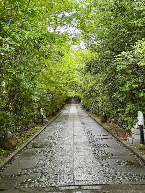 輪王寺参道 - Image 1
