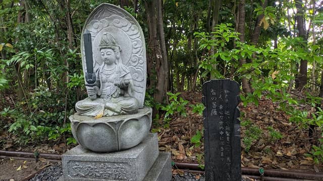 輪王寺参道 - Image 2
