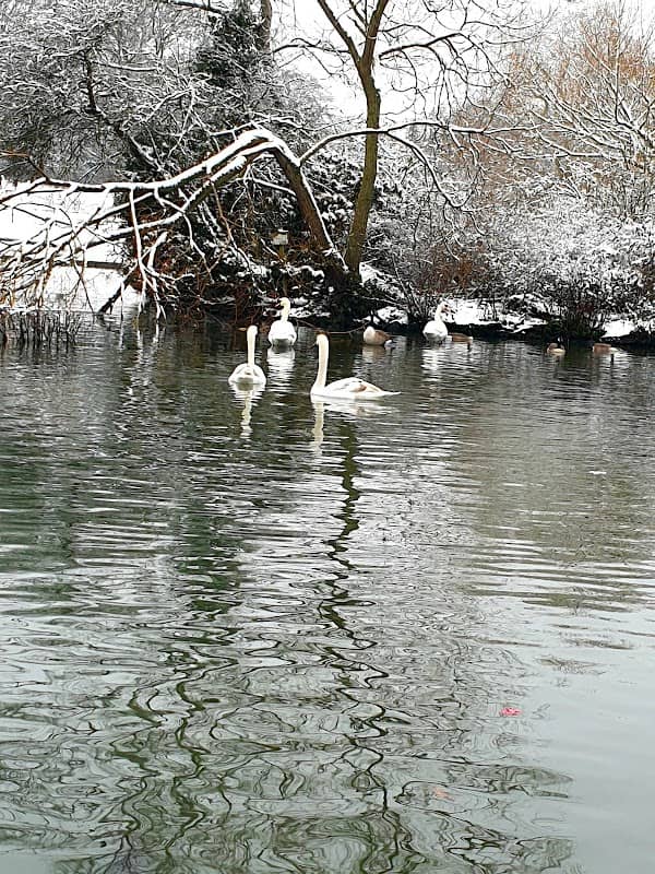 Abington park east side walkway - Image 1