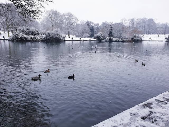 Abington park east side walkway - Image 2