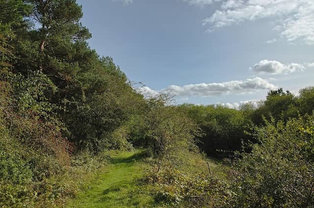 Barford Wood and Meadows - Image 2