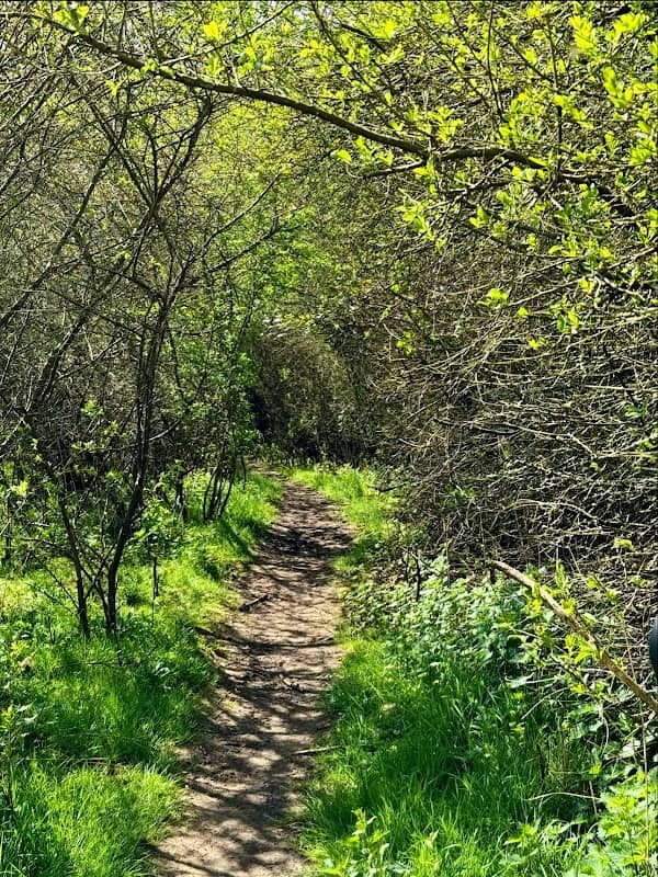 Barford Wood and Meadows - Image 1