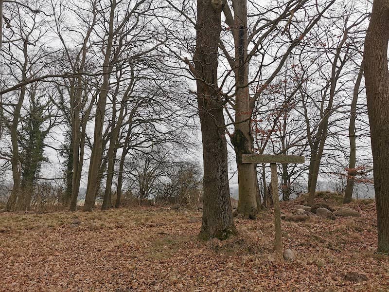Luttmissener Steinlabyrinth - Image 1
