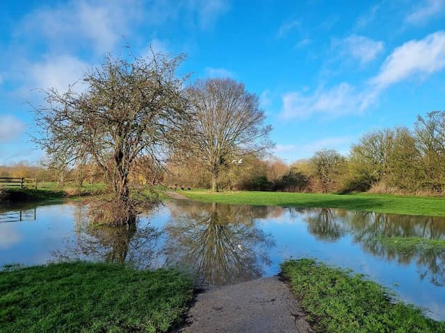 Bocking Blackwater Nature Reserve - Image 1