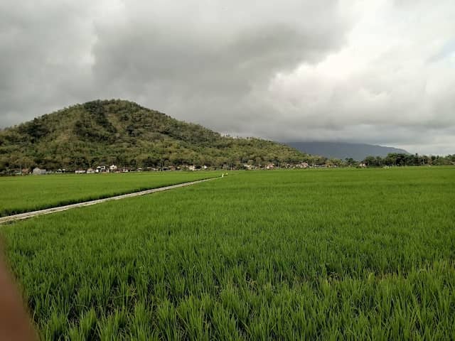 Sunset View Sambirejo - Image 1