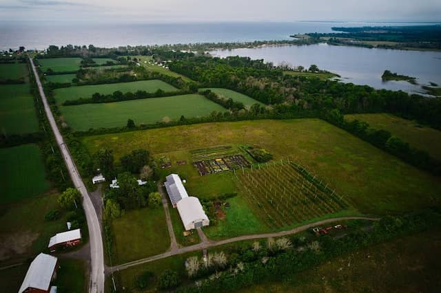 Fronterra Farm - Image 1