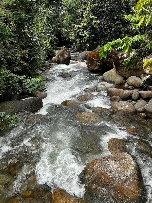 Inki River Park - Image 1