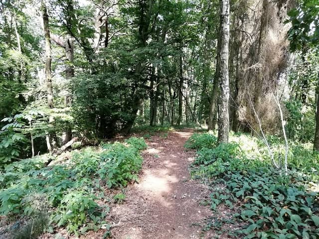 Schießberg (421m) - Image 1